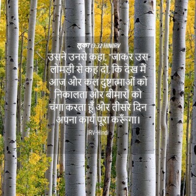 Picture 04 - लूका 13:32 HINIRV - उसने उनसे कहा, - Bible Verse Picture