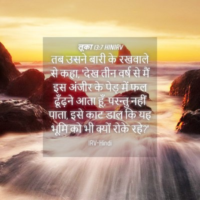 Picture 04 - लूका 13:7 HINIRV - तब उसने बारी के - Bible Verse Picture