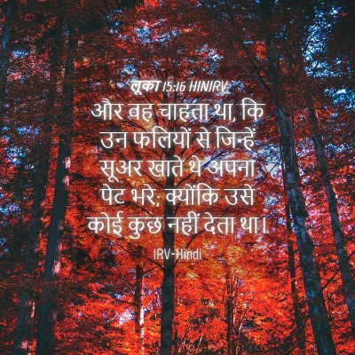 Picture 04 - लूका 15:16 HINIRV - और वह चाहता था, कि - Bible Verse Picture