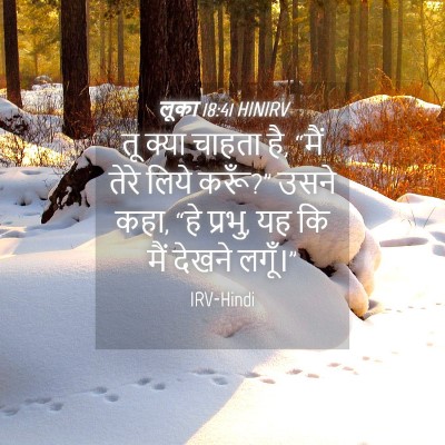 Picture 04 - लूका 18:41 HINIRV - तू क्या चाहता है, - Bible Verse Picture