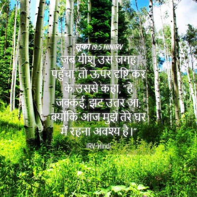 Picture 04 - लूका 19:5 HINIRV - जब यीशु उस जगह - Bible Verse Picture