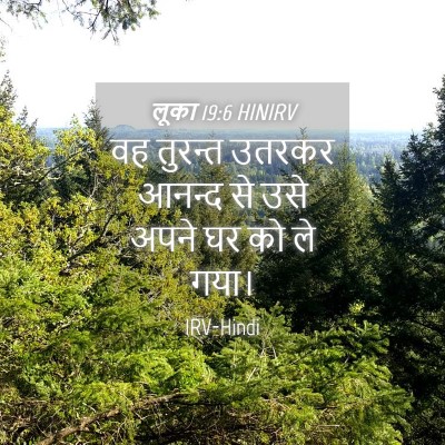 Picture 04 - लूका 19:6 HINIRV - वह तुरन्त उतरकर - Bible Verse Picture