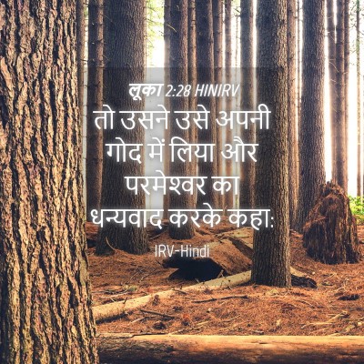 Picture 04 - लूका 2:28 HINIRV - तो उसने उसे अपनी - Bible Verse Picture