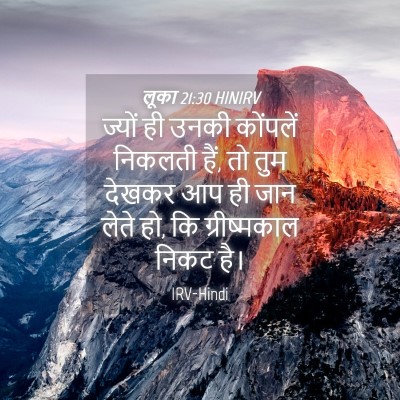 Picture 04 - लूका 21:30 HINIRV - ज्यों ही उनकी - Bible Verse Picture
