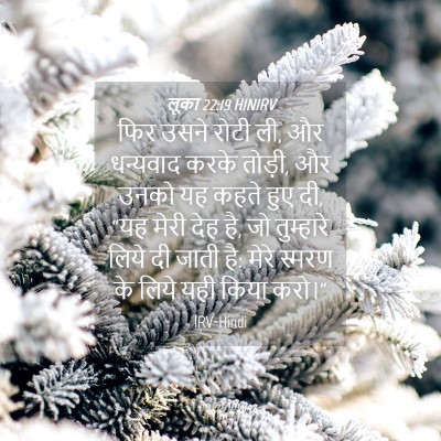 Picture 04 - लूका 22:19 HINIRV - फिर उसने रोटी ली, - Bible Verse Picture