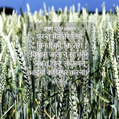 Picture 04 - लूका 22:32 HINIRV - परन्तु मैंने तेरे - Bible Verse Picture