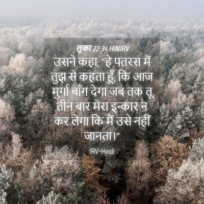 Picture 04 - लूका 22:34 HINIRV - उसने कहा, “हे पतरस - Bible Verse Picture
