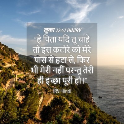 Picture 04 - लूका 22:42 HINIRV - “हे पिता यदि तू - Bible Verse Picture