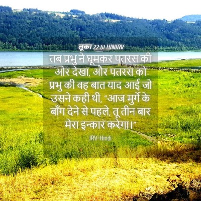 Picture 04 - लूका 22:61 HINIRV - तब प्रभु ने घूमकर - Bible Verse Picture