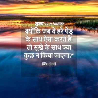 Picture 04 - लूका 23:31 HINIRV - क्योंकि जब वे हरे - Bible Verse Picture