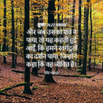 Picture 04 - लूका 24:23 HINIRV - और जब उसका शव न - Bible Verse Picture