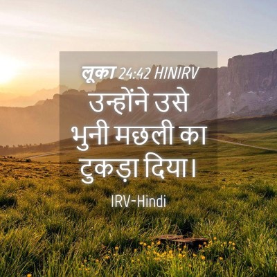Picture 04 - लूका 24:42 HINIRV - उन्होंने उसे भुनी - Bible Verse Picture