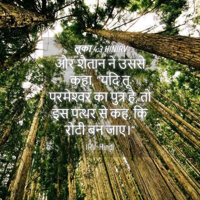 Picture 04 - लूका 4:3 HINIRV - और शैतान ने उससे - Bible Verse Picture