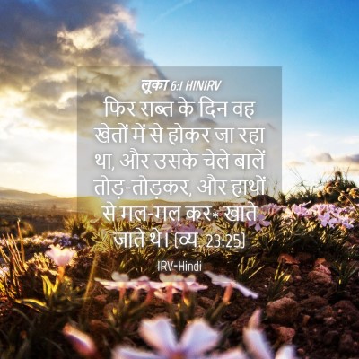 Picture 04 - लूका 6:1 HINIRV - फिर सब्त के दिन वह - Bible Verse Picture