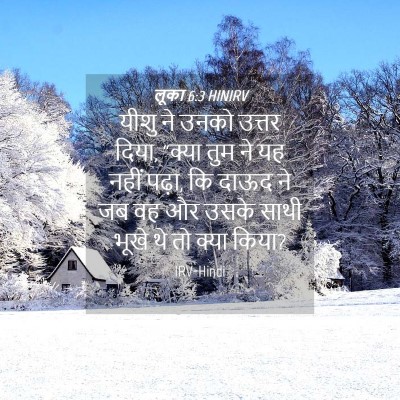 Picture 04 - लूका 6:3 HINIRV - यीशु ने उनको उत्तर - Bible Verse Picture