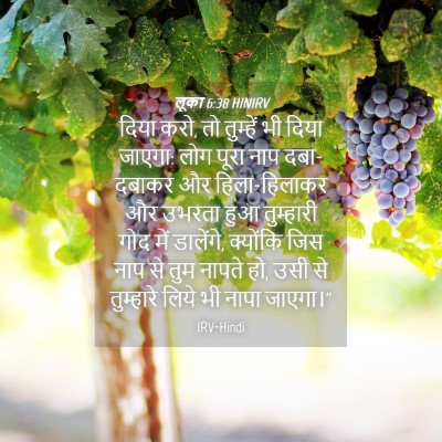 Picture 04 - लूका 6:38 HINIRV - दिया करो, तो - Bible Verse Picture
