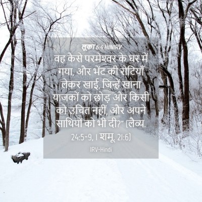 Picture 04 - लूका 6:4 HINIRV - वह कैसे परमेश्‍वर - Bible Verse Picture