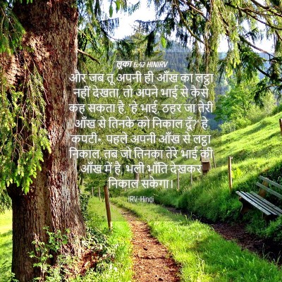 Picture 04 - लूका 6:42 HINIRV - और जब तू अपनी ही - Bible Verse Picture