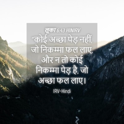Picture 04 - लूका 6:43 HINIRV - “कोई अच्छा पेड़ - Bible Verse Picture