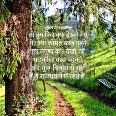 Picture 04 - लूका 7:25 HINIRV - तो तुम फिर क्या - Bible Verse Picture
