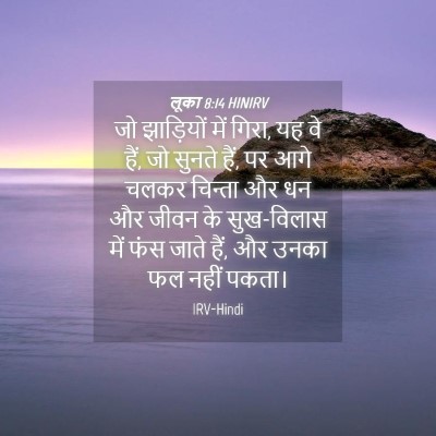 Picture 04 - लूका 8:14 HINIRV - जो झाड़ियों में - Bible Verse Picture