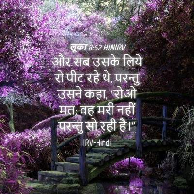 Picture 04 - लूका 8:52 HINIRV - और सब उसके लिये रो - Bible Verse Picture