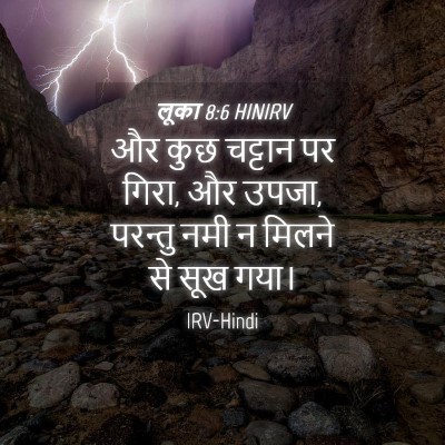 Picture 04 - लूका 8:6 HINIRV - और कुछ चट्टान पर - Bible Verse Picture
