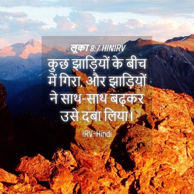 Picture 04 - लूका 8:7 HINIRV - कुछ झाड़ियों के - Bible Verse Picture