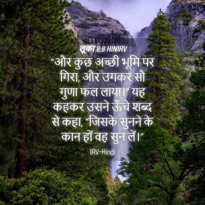 Picture 04 - लूका 8:8 HINIRV - “और कुछ अच्छी भूमि - Bible Verse Picture