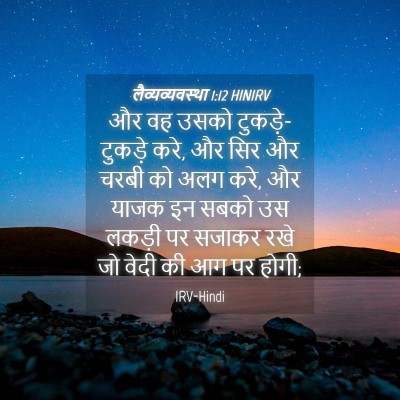 Picture 04 - लैव्यव्यवस्था 1:12 HINIRV - और वह उसको - Bible Verse Picture