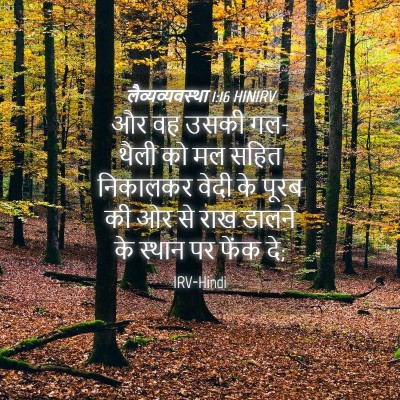 Picture 04 - लैव्यव्यवस्था 1:16 HINIRV - और वह उसकी गल-थैली - Bible Verse Picture