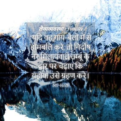 Picture 04 - लैव्यव्यवस्था 1:3 HINIRV - “यदि वह गाय-बैलों - Bible Verse Picture