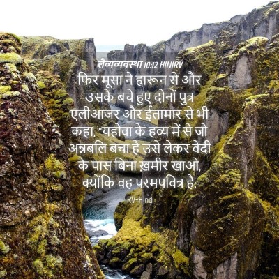 Picture 04 - लैव्यव्यवस्था 10:12 HINIRV - फिर मूसा ने हारून - Bible Verse Picture