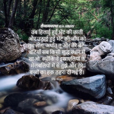 Picture 04 - लैव्यव्यवस्था 10:14 HINIRV - तब हिलाई हुई भेंट - Bible Verse Picture