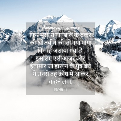 Picture 04 - लैव्यव्यवस्था 10:16 HINIRV - फिर मूसा ने पापबलि - Bible Verse Picture