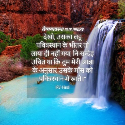 Picture 04 - लैव्यव्यवस्था 10:18 HINIRV - देखो, उसका लहू - Bible Verse Picture