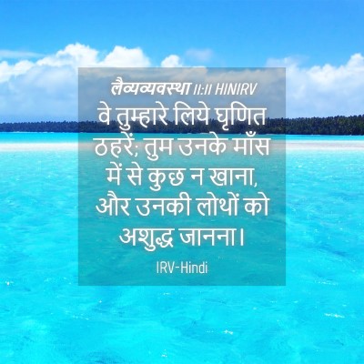 Picture 04 - लैव्यव्यवस्था 11:11 HINIRV - वे तुम्हारे लिये - Bible Verse Picture