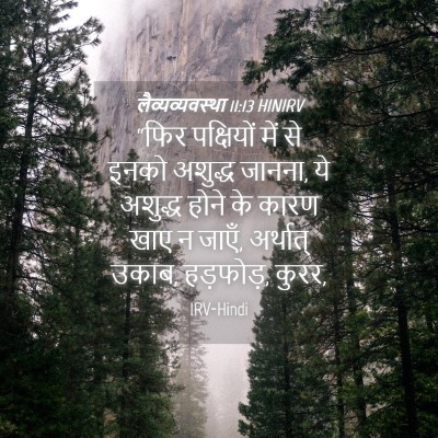 Picture 04 - लैव्यव्यवस्था 11:13 HINIRV - “फिर पक्षियों में - Bible Verse Picture