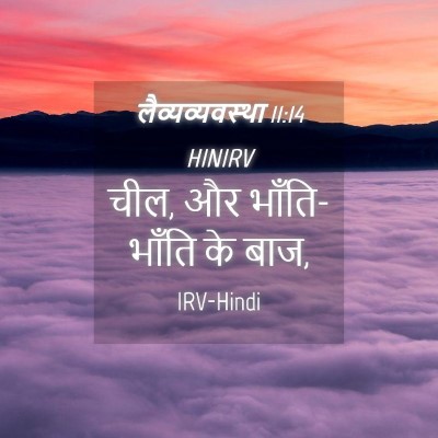 Picture 04 - लैव्यव्यवस्था 11:14 HINIRV - चील, और भाँति-भाँति - Bible Verse Picture