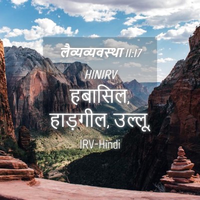 Picture 04 - लैव्यव्यवस्था 11:17 HINIRV - हबासिल, हाड़गील, - Bible Verse Picture