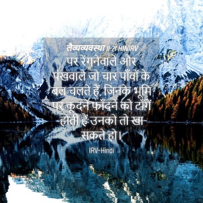 Picture 04 - लैव्यव्यवस्था 11:21 HINIRV - पर रेंगनेवाले और - Bible Verse Picture