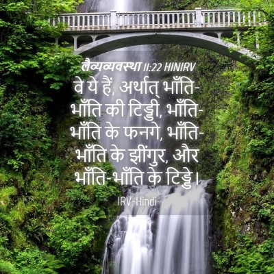Picture 04 - लैव्यव्यवस्था 11:22 HINIRV - वे ये हैं, अर्थात् - Bible Verse Picture