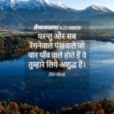 Picture 04 - लैव्यव्यवस्था 11:23 HINIRV - परन्तु और सब - Bible Verse Picture