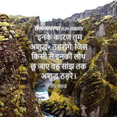 Picture 04 - लैव्यव्यवस्था 11:24 HINIRV - “इनके कारण तुम - Bible Verse Picture