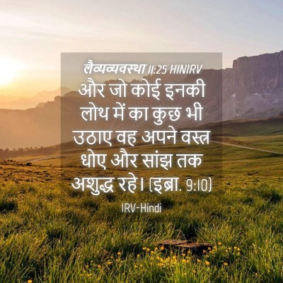 Picture 04 - लैव्यव्यवस्था 11:25 HINIRV - और जो कोई इनकी लोथ - Bible Verse Picture