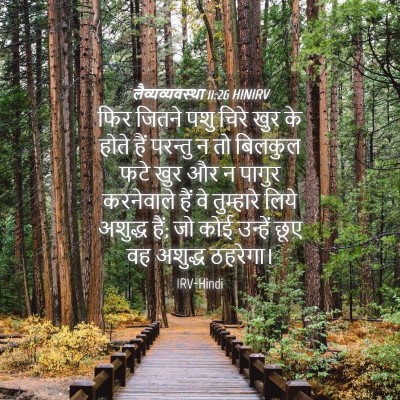 Picture 04 - लैव्यव्यवस्था 11:26 HINIRV - फिर जितने पशु चिरे - Bible Verse Picture