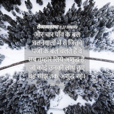 Picture 04 - लैव्यव्यवस्था 11:27 HINIRV - और चार पाँव के बल - Bible Verse Picture