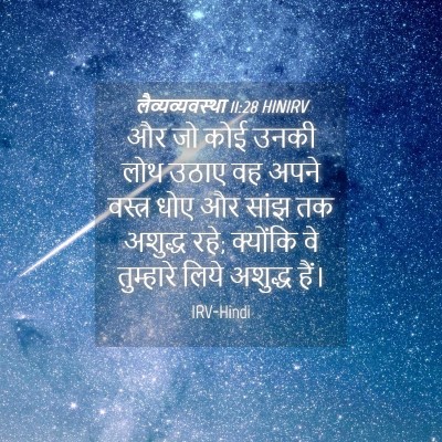 Picture 04 - लैव्यव्यवस्था 11:28 HINIRV - और जो कोई उनकी लोथ - Bible Verse Picture