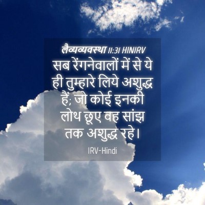 Picture 04 - लैव्यव्यवस्था 11:31 HINIRV - सब रेंगनेवालों - Bible Verse Picture