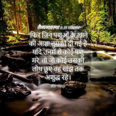 Picture 04 - लैव्यव्यवस्था 11:39 HINIRV - “फिर जिन पशुओं के - Bible Verse Picture